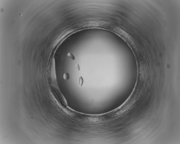 X0000064720794200602171615