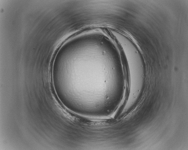 X0000064720795200602171615