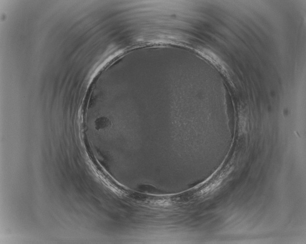 X0000064720798200602171614