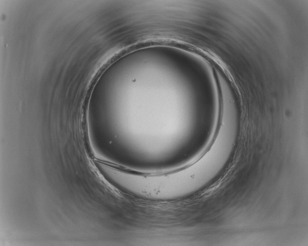 X0000064720799200602171614