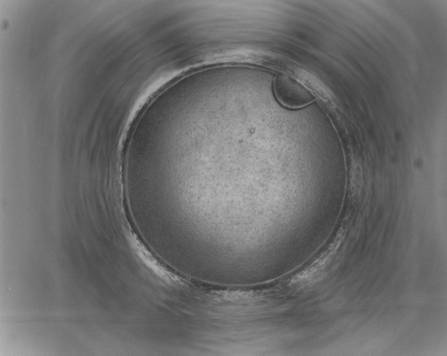 X0000064720800200602171614