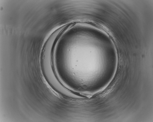 X0000064720803200602171614