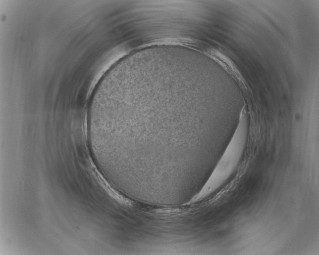 X0000064720804200602171614