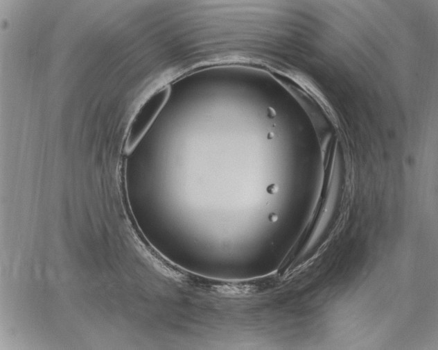 X0000064720805200602171614