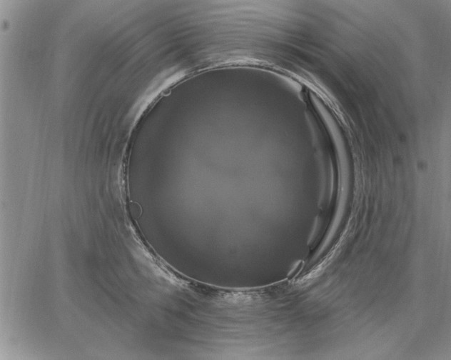 X0000064720806200602171614