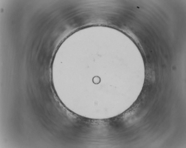 X0000064720807200602171614