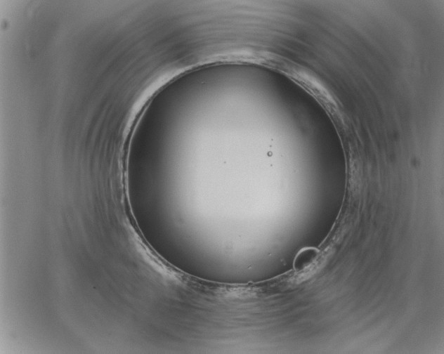 X0000064720808200602171614