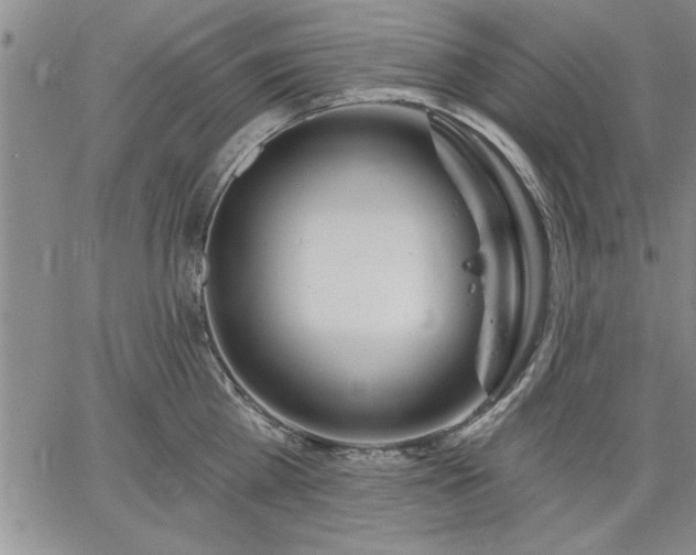 X0000064720809200602171614