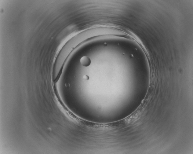 X0000064720811200602171614