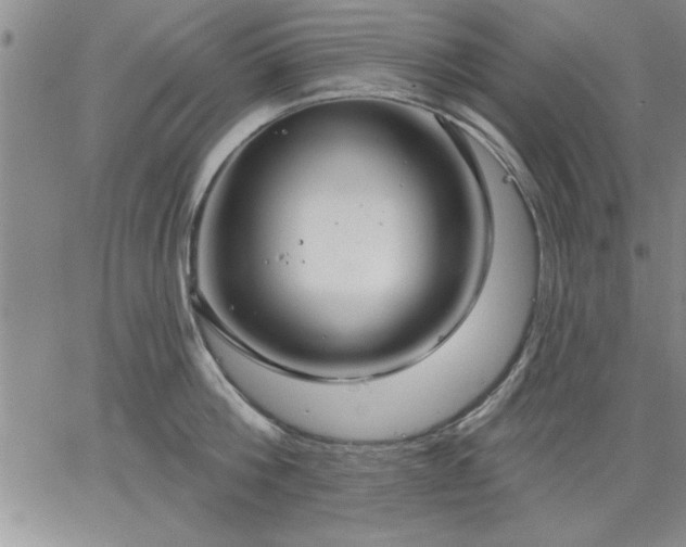 X0000064720812200602171614