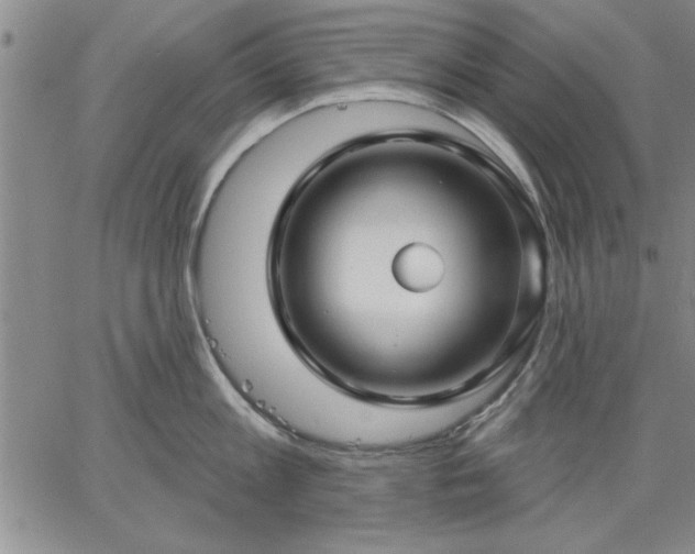 X0000064720813200602171614