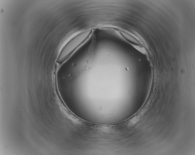 X0000064720814200602171614