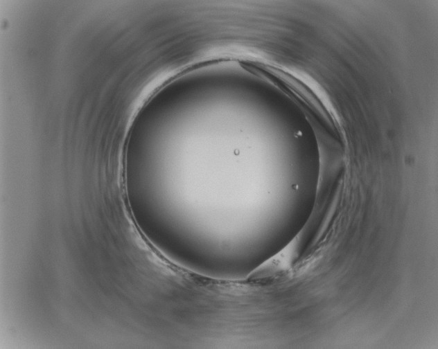 X0000064720815200602171614