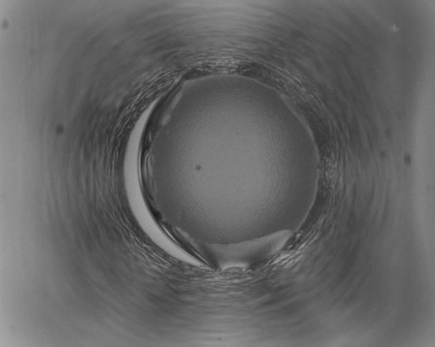 X0000064720818200602171613