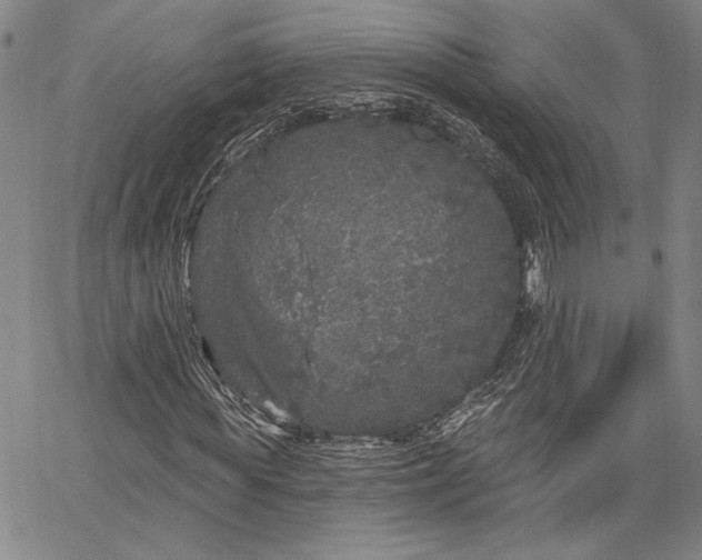 X0000064720819200602171613