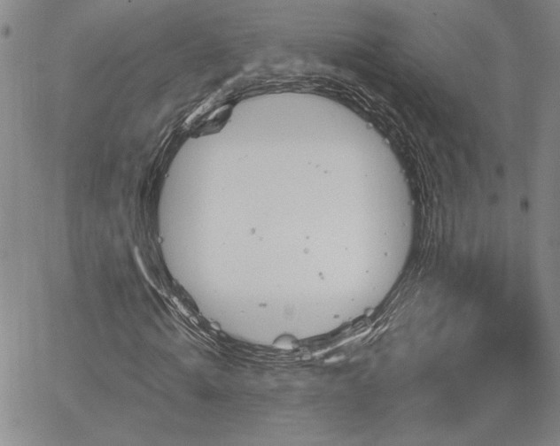 X0000064720820200602171613