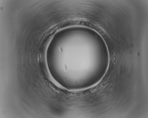 X0000064720821200602171613