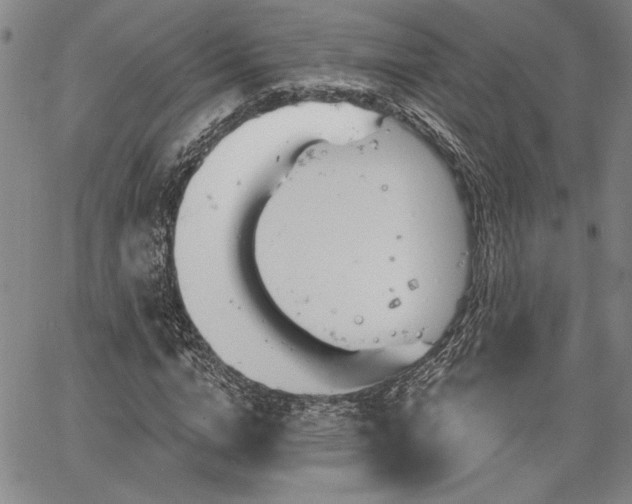 X0000064720824200602171613