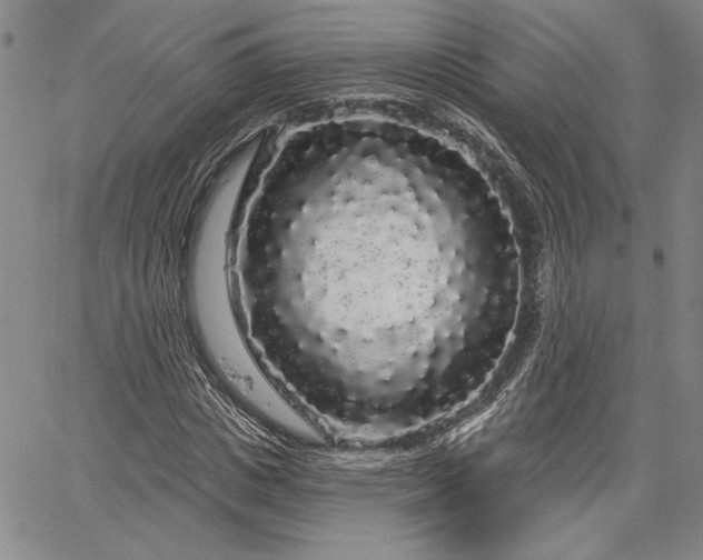 X0000064720825200602171613