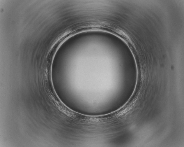 X0000064720827200602171613