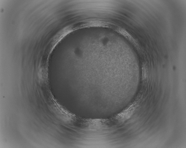 X0000064720828200602171613