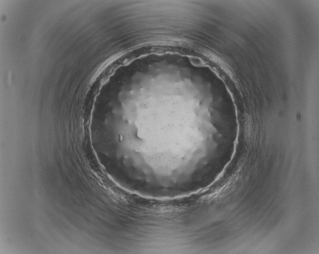 X0000064720829200602171614