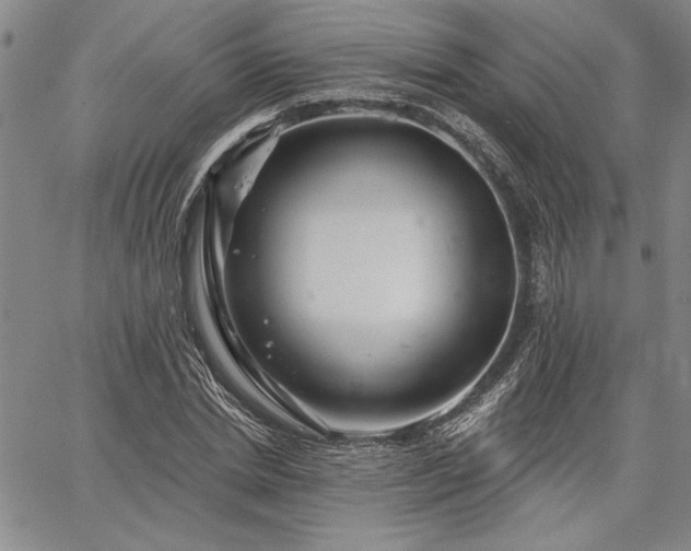 X0000064720830200602171614