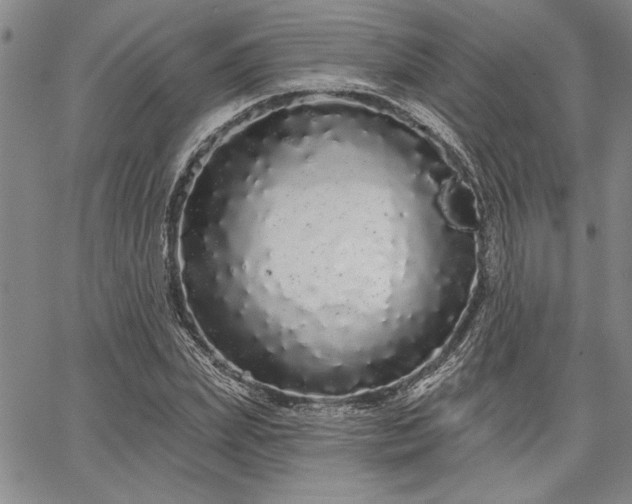 X0000064720831200602171614