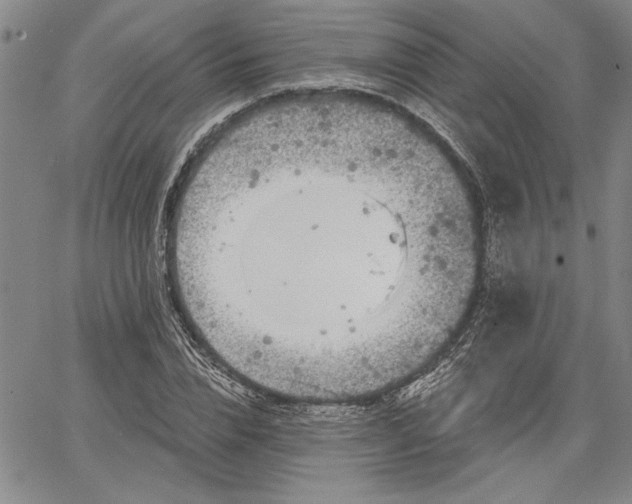 X0000064720832200602171614