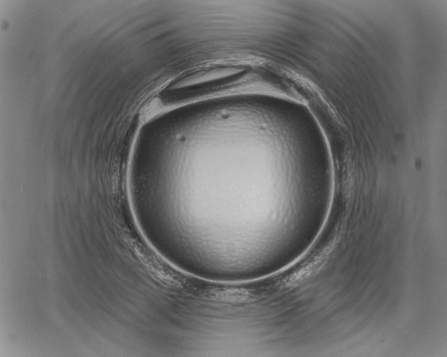 X0000064720833200602171614