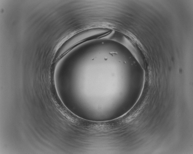 X0000064720834200602171614