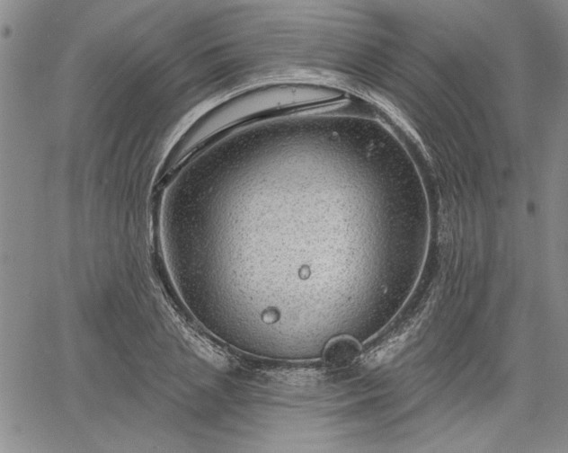 X0000064720837200602171614