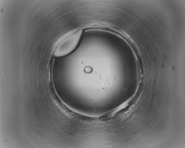 X0000064720838200602171614