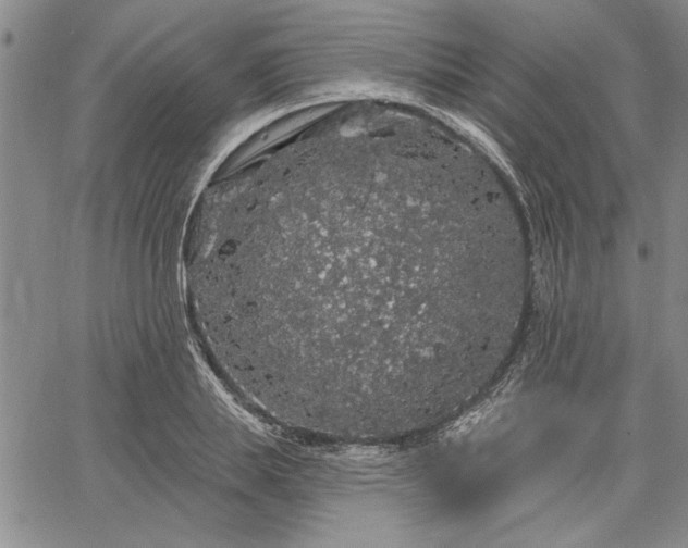 X0000064720839200602171614