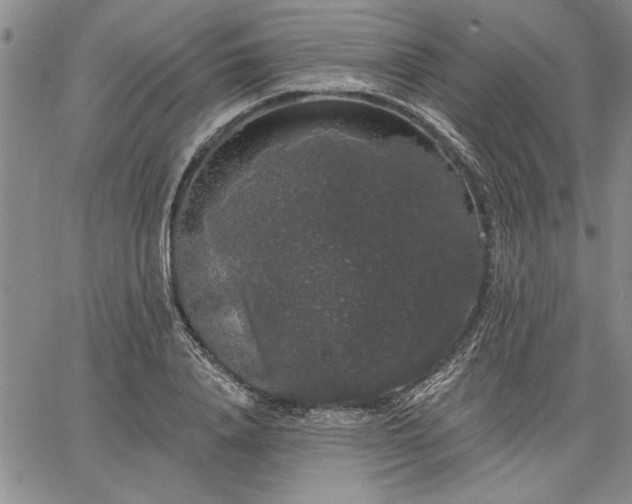 X0000064720840200602171614