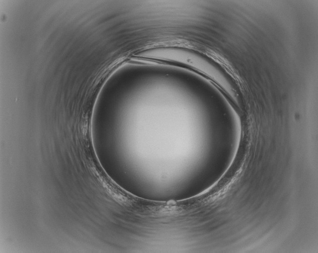 X0000064720841200602171614