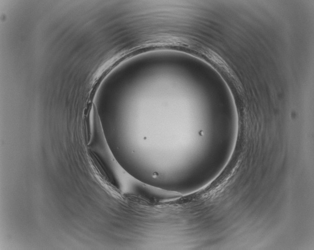 X0000064720842200602171614