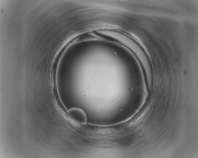 X0000064720843200602171614