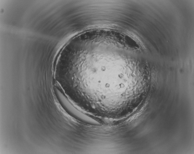 X0000064720844200602171614