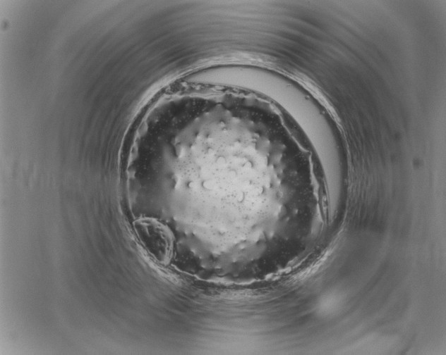 X0000064720845200602171614