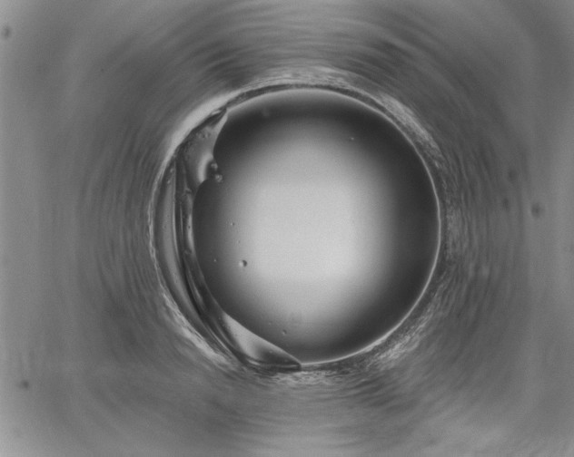 X0000064720846200602171614