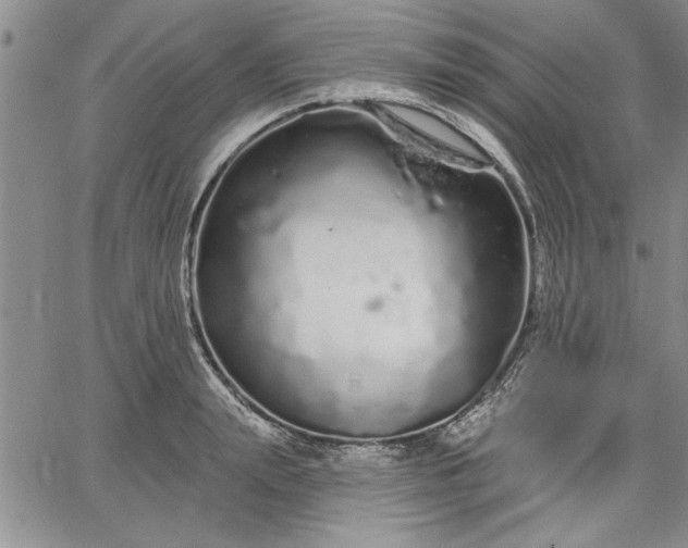 X0000064720847200602171614