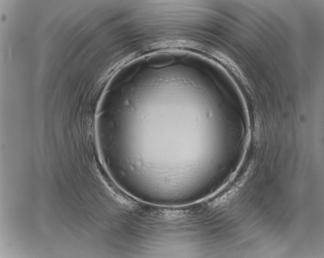 X0000064720849200602171614