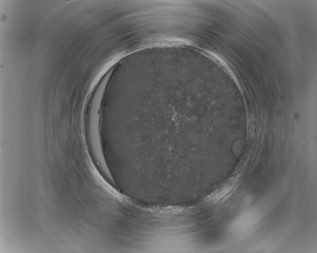 X0000064720851200602171614