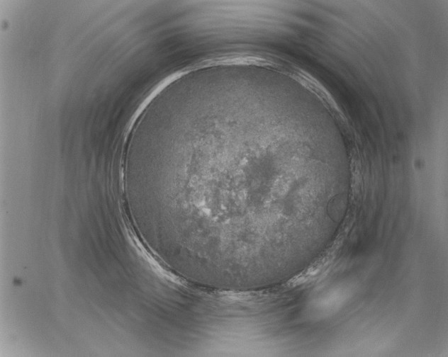 X0000064720852200602171614