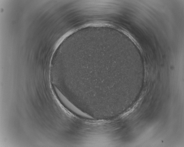 X0000064720853200602171614