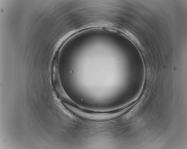 X0000064720854200602171614