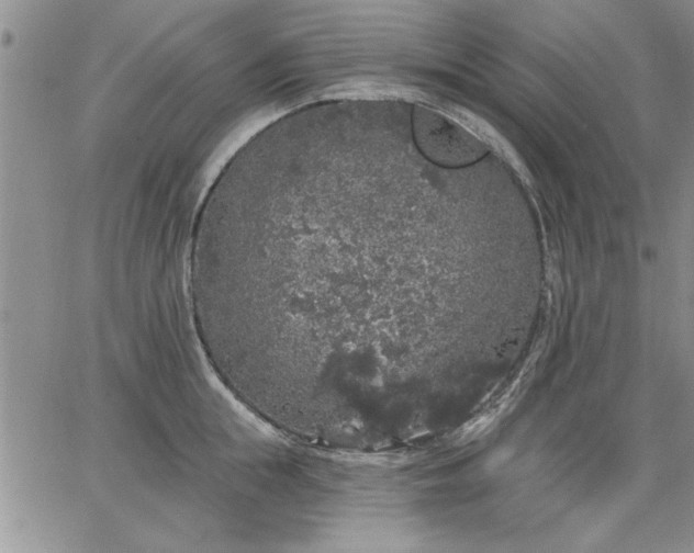 X0000064720855200602171614