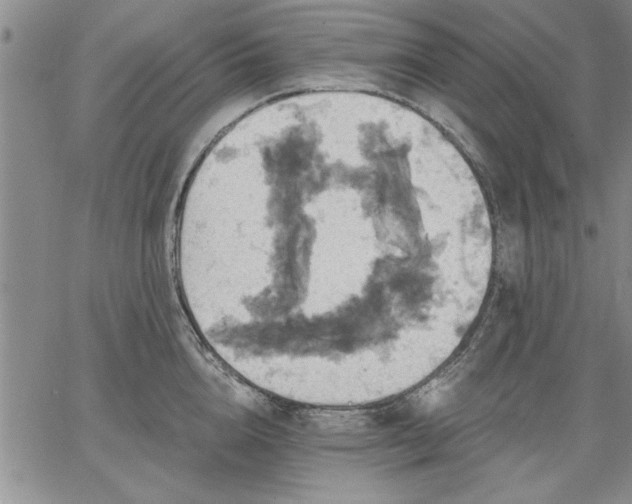 X0000064720856200602171614