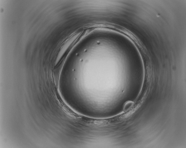 X0000064720857200602171614